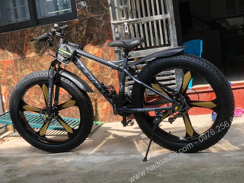 xe-dap-banh-beo-chinh-hang-phoenix-dep-nhat