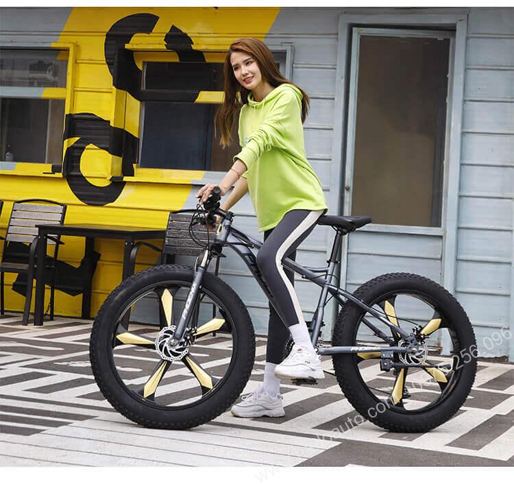 xe-dap-banh-beo-chinh-hang-phoenix-gia-re